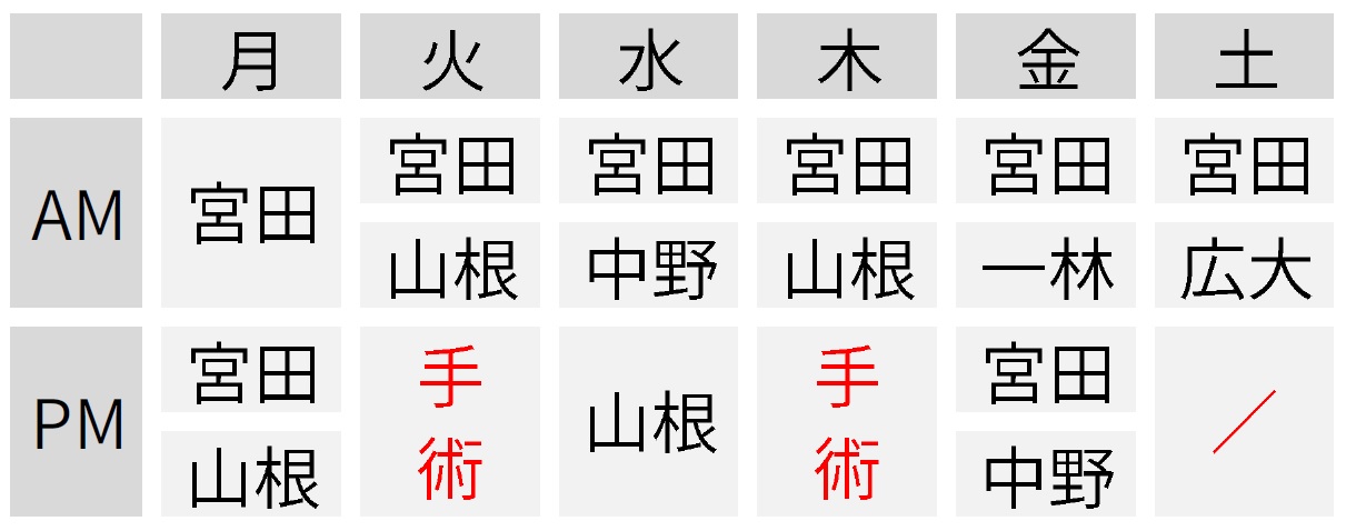 飛蚊症について みやた眼科 広島市井口五日市エリア 白内障 緑内障 糖尿病網膜症 日帰り手術